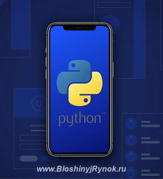 Курс по разработке приложений на языке Python. Белорусия, Минск