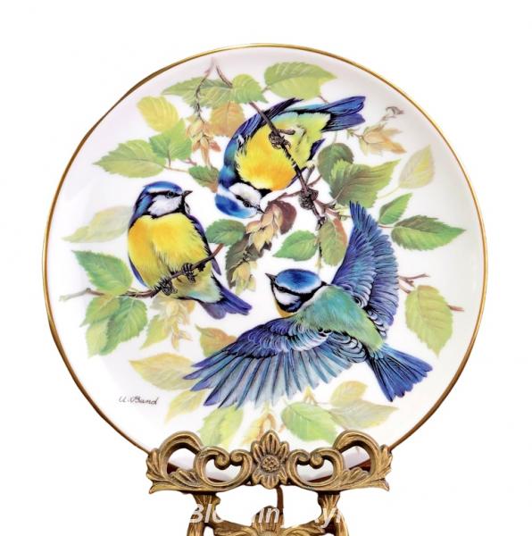 Декоративная тарелка Голубая Синица Blaumeise, Tirschenreuth. Россия, Калининградская область,  Калининград
